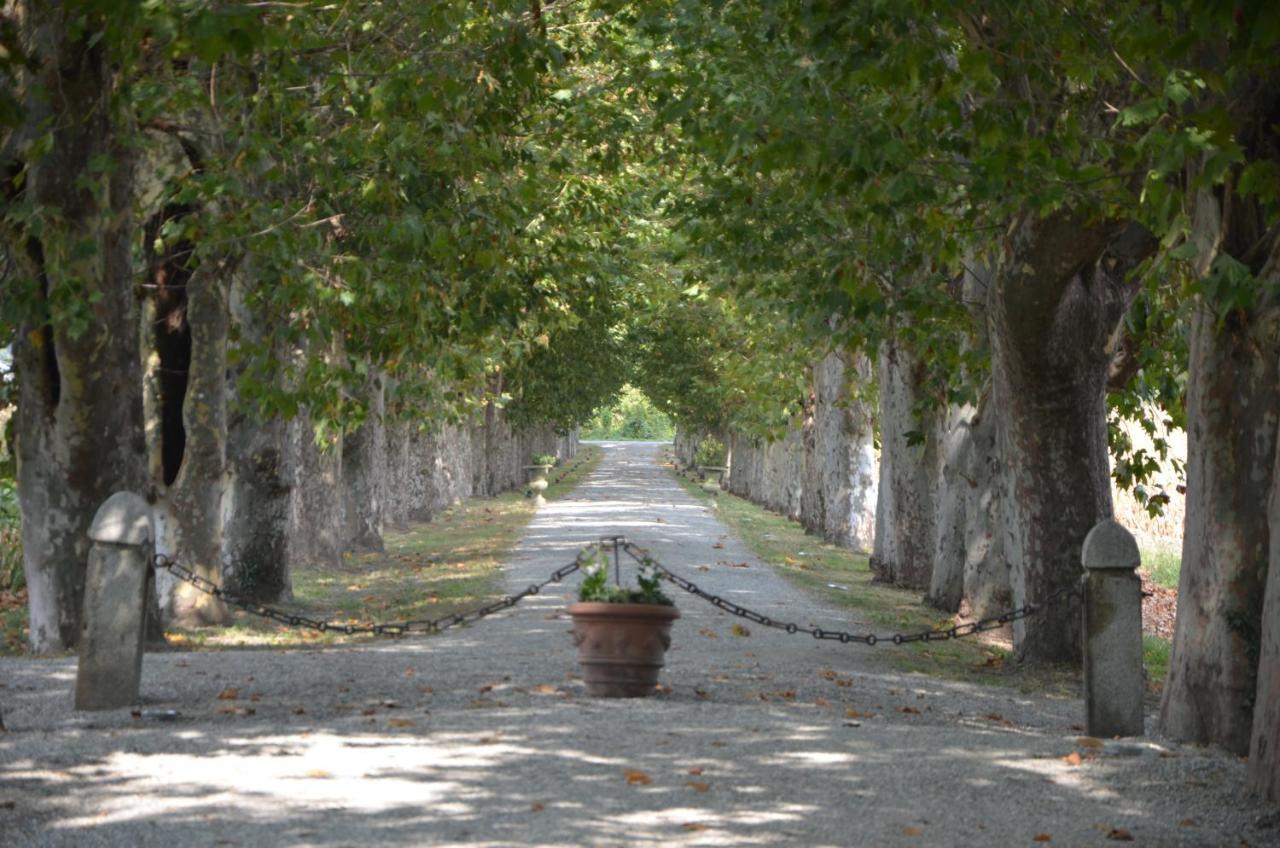 B&B Il Castelletto Pinerolo Eksteriør billede